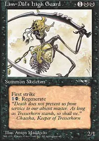 Lim-Dûl's High Guard