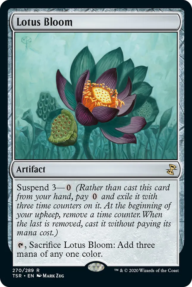 Lotus Bloom