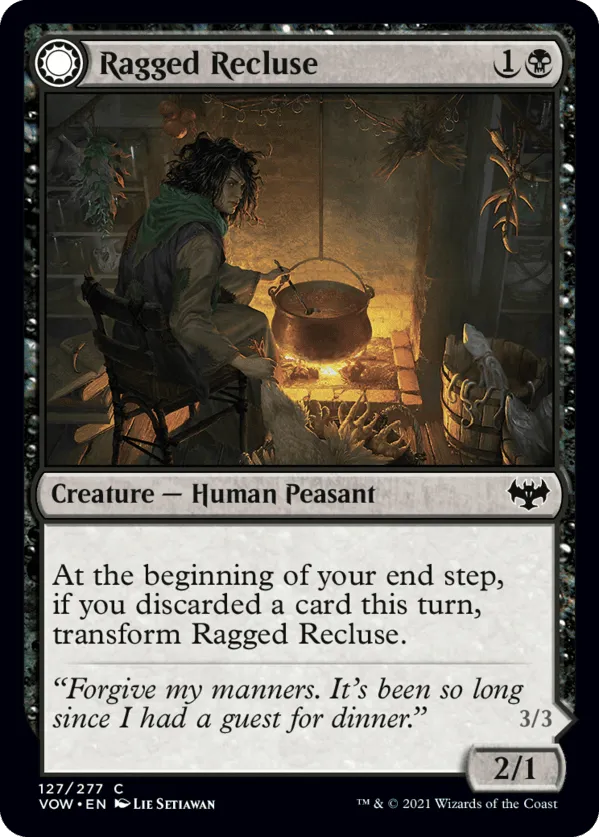 Ragged Recluse
