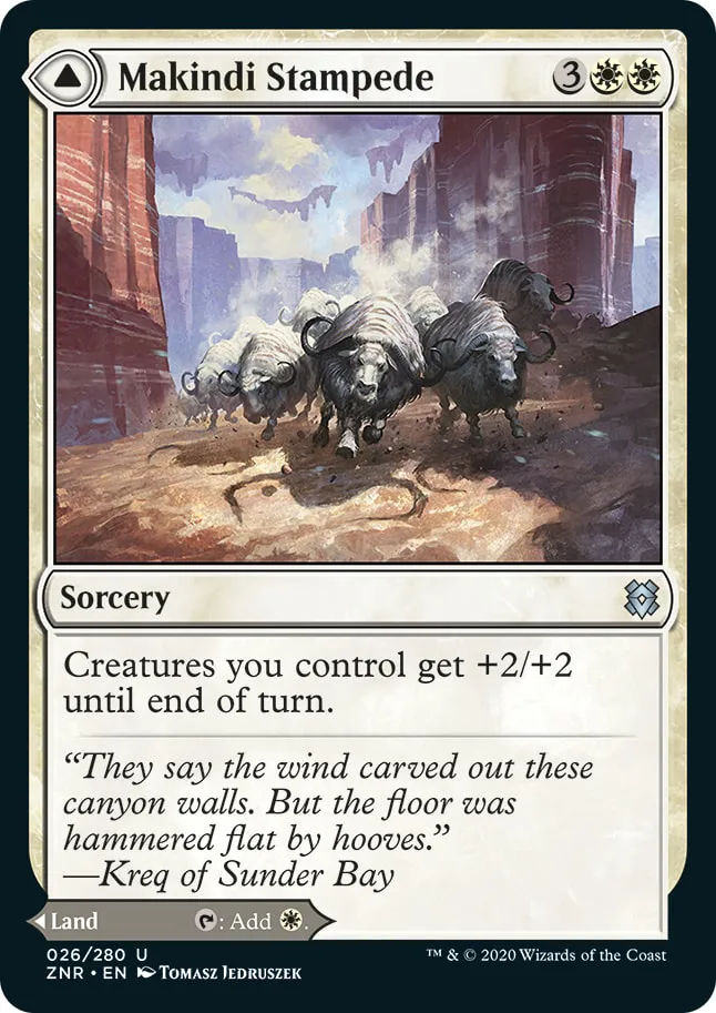 Makindi Stampede