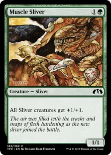Muscle Sliver