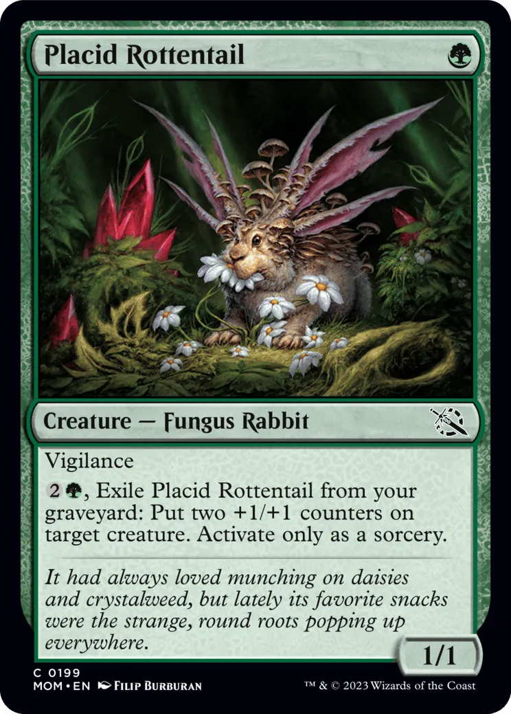 Placid Rottentail