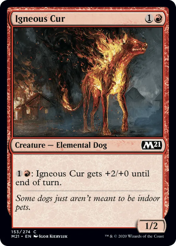 Igneous Cur