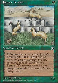 Joven's Ferrets