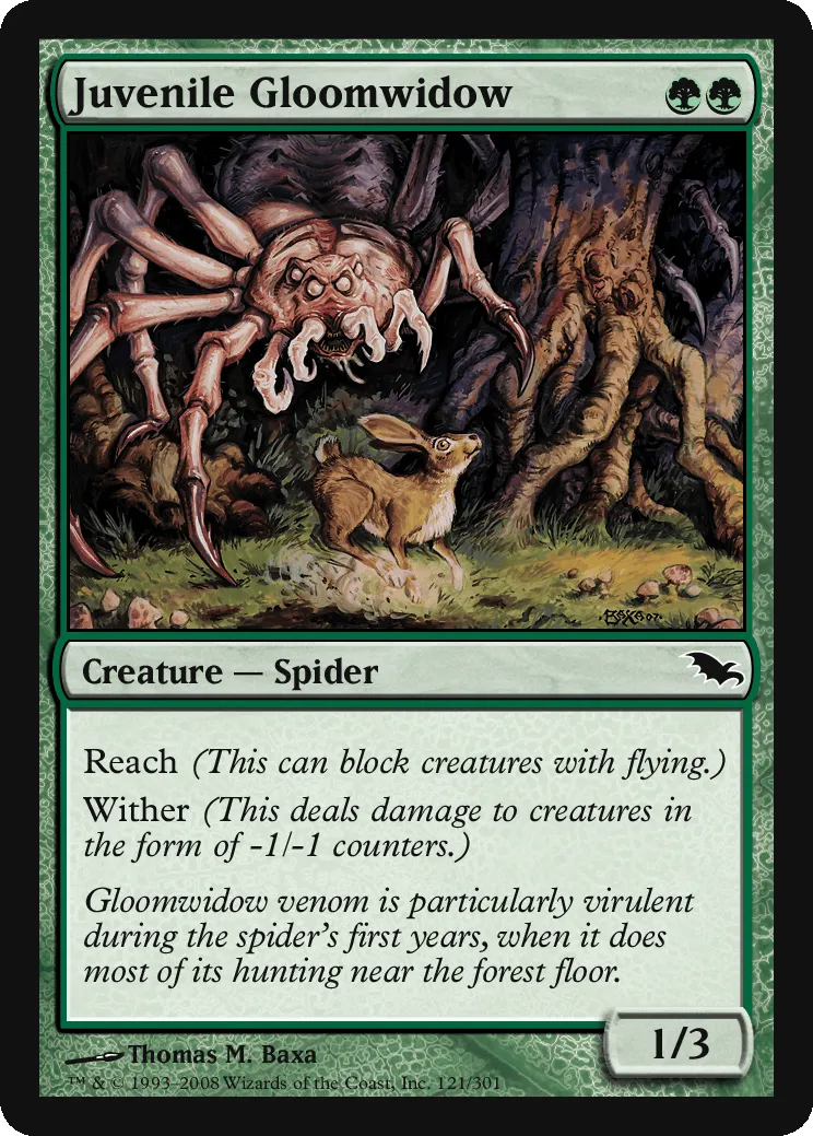 Juvenile Gloomwidow