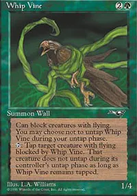 Whip Vine