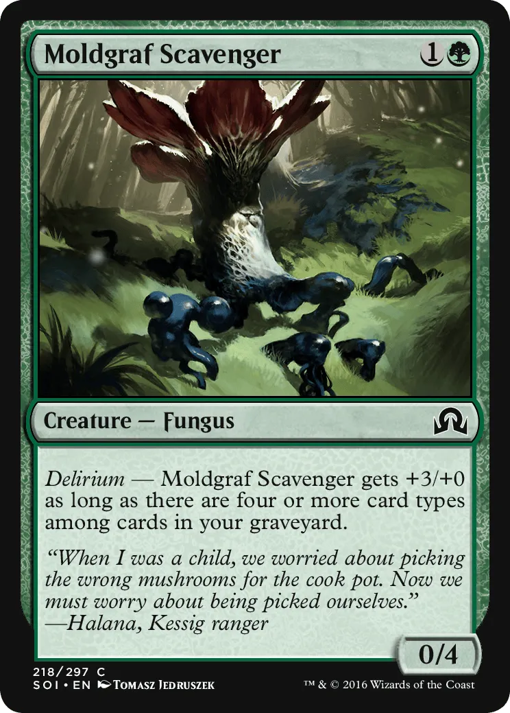 Moldgraf Scavenger