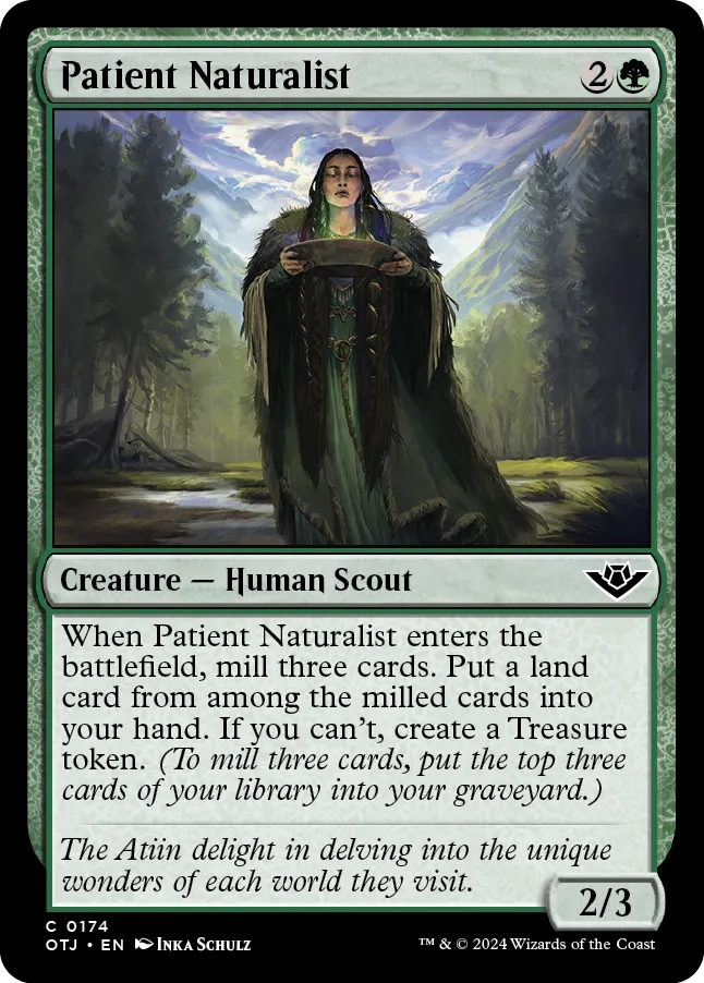 Patient Naturalist