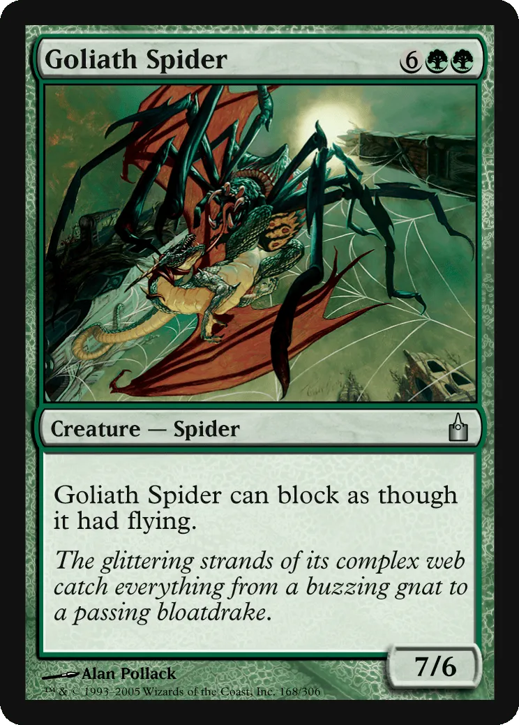 Goliath Spider