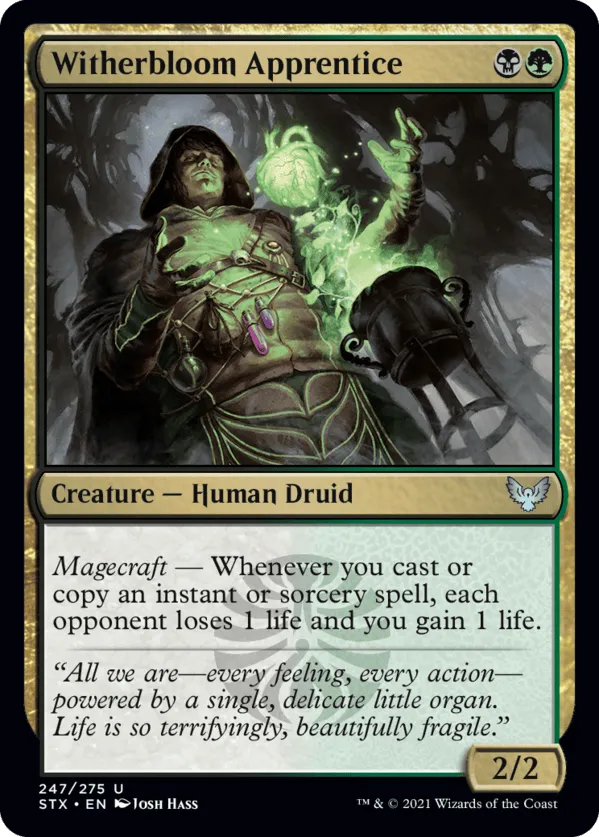 Witherbloom Apprentice