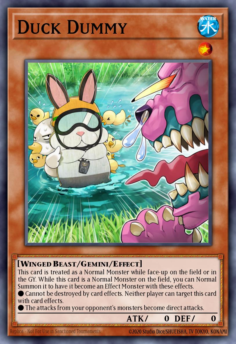 Duck Dummy